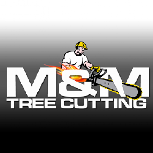 M&M Tree Cutting in Bronx City, New York, United States - #3 Photo of Point of interest, Establishment