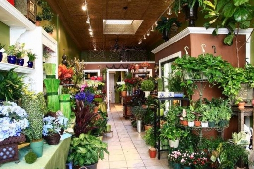 Arthur Avenue Floral in Bronx City, New York, United States - #1 Photo of Point of interest, Establishment, Store, Home goods store, Florist
