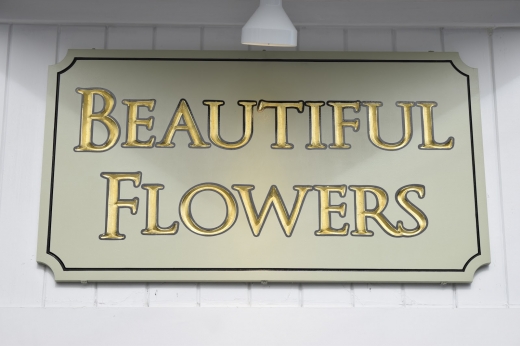 Beautiful Flowers in Glen Head City, New York, United States - #4 Photo of Point of interest, Establishment, Store, Florist