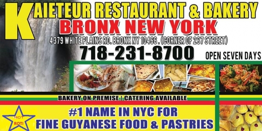 Kaieteur Restaurant Bronx in Bronx City, New York, United States - #3 Photo of Restaurant, Food, Point of interest, Establishment