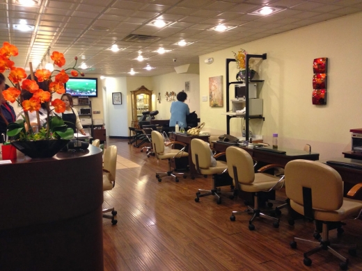 Photo by <br />
<b>Notice</b>:  Undefined index: user in <b>/home/www/activeuser/data/www/vaplace.com/core/views/default/photos.php</b> on line <b>128</b><br />
. Picture for ORCHID NAIL&SPA in Mineola City, New York, United States - Point of interest, Establishment, Health, Spa, Beauty salon, Hair care