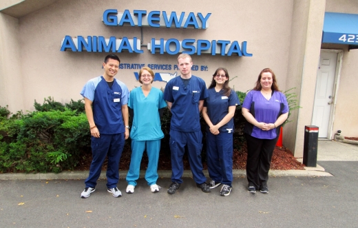 Gateway Animal Hospital in Staten Island City, New York, United States - #4 Photo of Point of interest, Establishment, Veterinary care