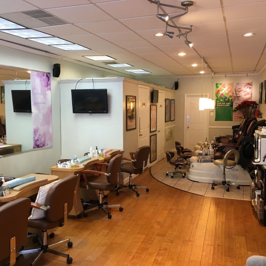 French Nail Salon in Montclair City, New Jersey, United States - #2 Photo of Point of interest, Establishment, Beauty salon, Hair care