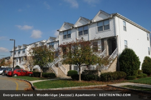 Evergreen Forest Apartments in Avenel City, New Jersey, United States - #1 Photo of Point of interest, Establishment, Real estate agency