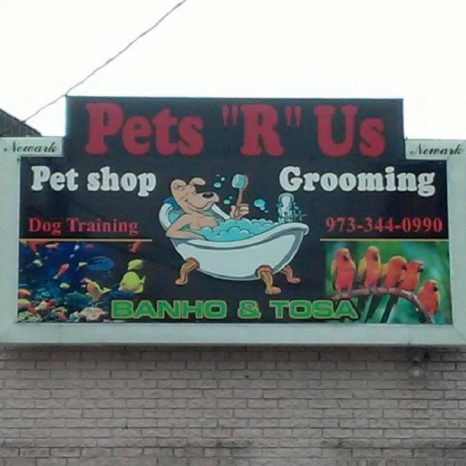 Pets R Us in Newark City, New Jersey, United States - #2 Photo of Point of interest, Establishment, Store, Pet store