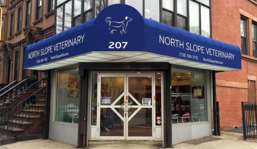 North Slope Veterinary in Kings County City, New York, United States - #1 Photo of Point of interest, Establishment, Veterinary care