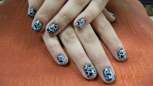Photo by <br />
<b>Notice</b>:  Undefined index: user in <b>/home/www/activeuser/data/www/vaplace.com/core/views/default/photos.php</b> on line <b>128</b><br />
. Picture for Nails By Nancy in Union City, New Jersey, United States - Point of interest, Establishment, Beauty salon, Hair care