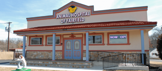 Animal Hospital of Fairfield in Fairfield City, New Jersey, United States - #2 Photo of Point of interest, Establishment, Veterinary care