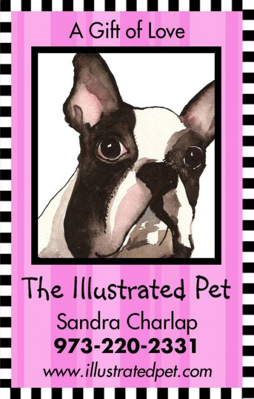 The Illustrated Pet in Maplewood City, New Jersey, United States - #1 Photo of Point of interest, Establishment, Painter