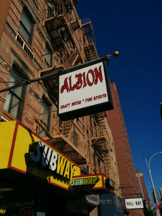 Albion Bar in New York City, New York, United States - #2 Photo of Restaurant, Food, Point of interest, Establishment, Bar, Night club