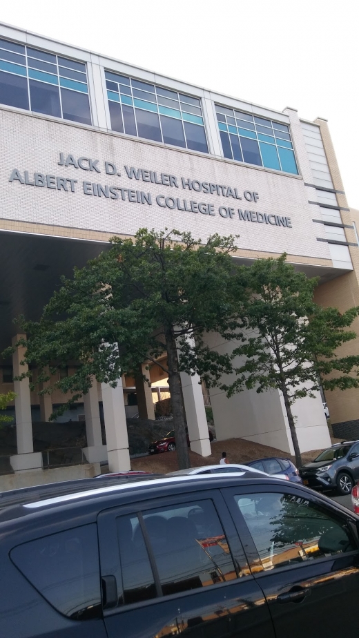 Albert Einstein College of Medicine: Jack D Weiler Hospital in Bronx City, New York, United States - #2 Photo of Point of interest, Establishment, Health, Hospital, Doctor