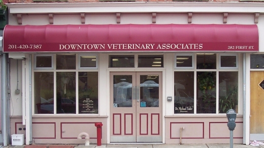 Downtown Veterinary Associates in Jersey City, New Jersey, United States - #1 Photo of Point of interest, Establishment, Veterinary care