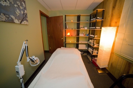 Photo by <br />
<b>Notice</b>:  Undefined index: user in <b>/home/www/activeuser/data/www/vaplace.com/core/views/default/photos.php</b> on line <b>128</b><br />
. Picture for Pulse Acupuncture in Clifton City, New Jersey, United States - Point of interest, Establishment, Health, Doctor