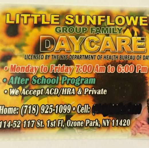Little Sunflower Day Care in Queens City, New York, United States - #1 Photo of Point of interest, Establishment
