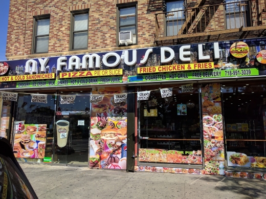 Photo by <br />
<b>Notice</b>:  Undefined index: user in <b>/home/www/activeuser/data/www/vaplace.com/core/views/default/photos.php</b> on line <b>128</b><br />
. Picture for NY Famous Deli in Bronx City, New York, United States - Restaurant, Food, Point of interest, Establishment, Store