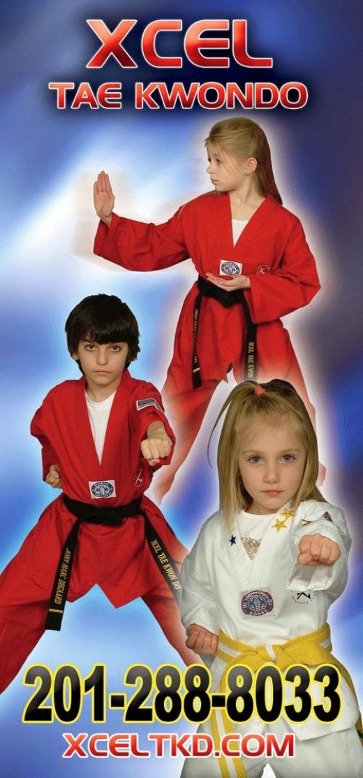 Photo by <br />
<b>Notice</b>:  Undefined index: user in <b>/home/www/activeuser/data/www/vaplace.com/core/views/default/photos.php</b> on line <b>128</b><br />
. Picture for Xcel Taekwondo Center LLC in Hasbrouck Heights City, New Jersey, United States - Point of interest, Establishment, Health