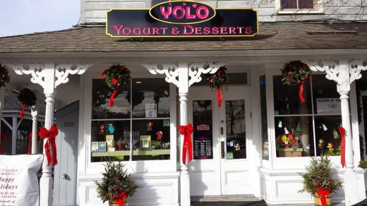 YOLO Yogurt & Desserts- A Creperie & Frozen Dessert Shop in Roslyn City, New York, United States - #4 Photo of Food, Point of interest, Establishment, Store, Cafe