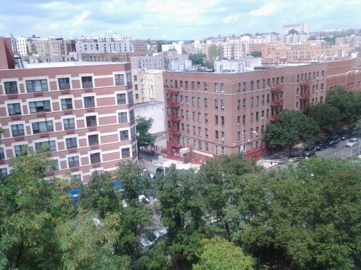 Photo by Jluigui Morquecho for 176th Street Community Garden