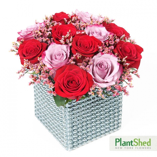 Photo by <br />
<b>Notice</b>:  Undefined index: user in <b>/home/www/activeuser/data/www/vaplace.com/core/views/default/photos.php</b> on line <b>128</b><br />
. Picture for PlantShed New York Flowers in New York City, New York, United States - Point of interest, Establishment, Store, General contractor, Florist