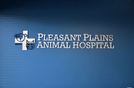 Photo by <br />
<b>Notice</b>:  Undefined index: user in <b>/home/www/activeuser/data/www/vaplace.com/core/views/default/photos.php</b> on line <b>128</b><br />
. Picture for Pleasant Plains Animal Hospital in Staten Island City, New York, United States - Point of interest, Establishment, Veterinary care