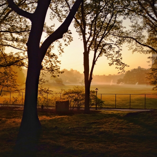 North Meadow Baseball Field 3 in New York City, New York, United States - #4 Photo of Point of interest, Establishment