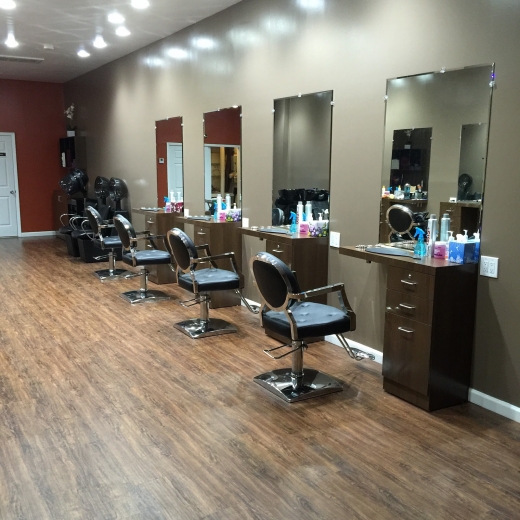 Photo by <br />
<b>Notice</b>:  Undefined index: user in <b>/home/www/activeuser/data/www/vaplace.com/core/views/default/photos.php</b> on line <b>128</b><br />
. Picture for Hylan Hair Studio LLC in Richmond City, New York, United States - Point of interest, Establishment, Hair care