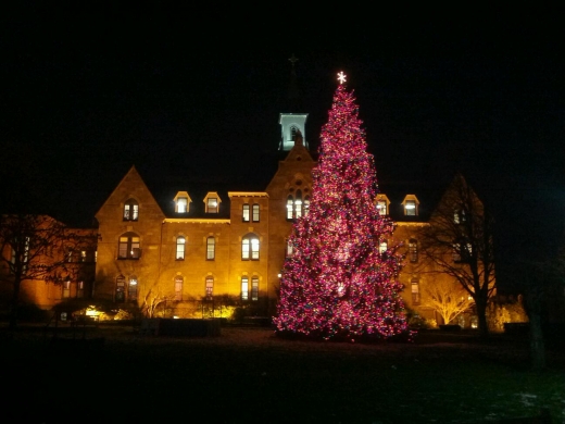 Seton Hall University in South Orange City, New Jersey, United States - #4 Photo of Point of interest, Establishment, University