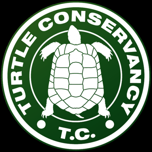 Turtle Conservancy HQ in New York City, New York, United States - #1 Photo of Point of interest, Establishment