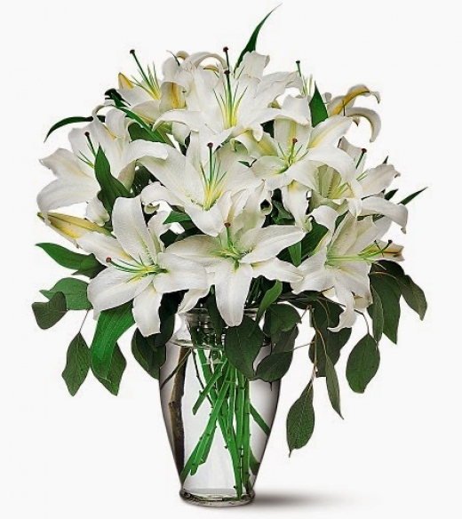 Photo by <br />
<b>Notice</b>:  Undefined index: user in <b>/home/www/activeuser/data/www/vaplace.com/core/views/default/photos.php</b> on line <b>128</b><br />
. Picture for florist paradise inc in New York City, New York, United States - Point of interest, Establishment, Store, Florist