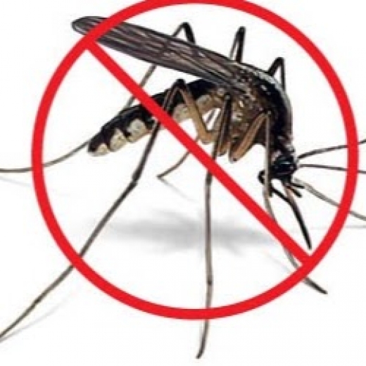 Photo by <br />
<b>Notice</b>:  Undefined index: user in <b>/home/www/activeuser/data/www/vaplace.com/core/views/default/photos.php</b> on line <b>128</b><br />
. Picture for Mosquito Beaters in Holmdel City, New Jersey, United States - Point of interest, Establishment, Store, Home goods store