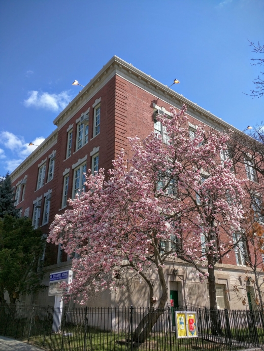 Photo by Phyllis A Sears for PS154 - The Windsor Terrace Elementary School