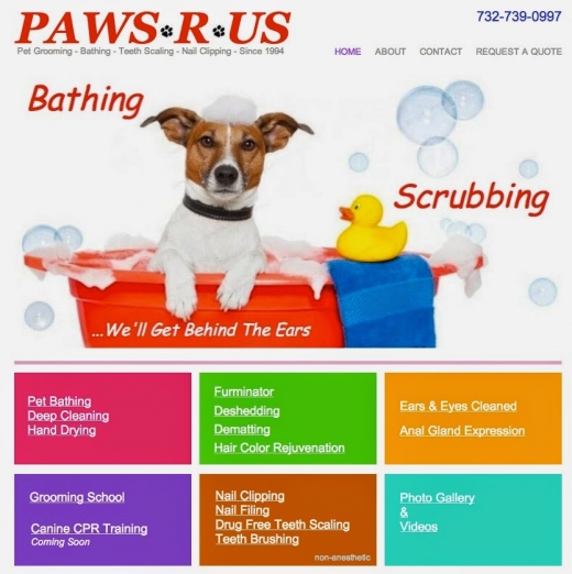 Paws R US Pet Grooming in Keyport City, New Jersey, United States - #3 Photo of Point of interest, Establishment