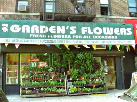Ari Garden's Flowers in Bronx City, New York, United States - #1 Photo of Point of interest, Establishment, Store, Florist