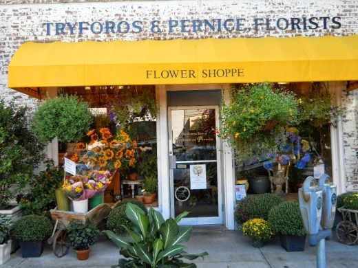 The Flower Shop of Tryforos and Pernice in Bronxville City, New York, United States - #2 Photo of Point of interest, Establishment, Store, Florist