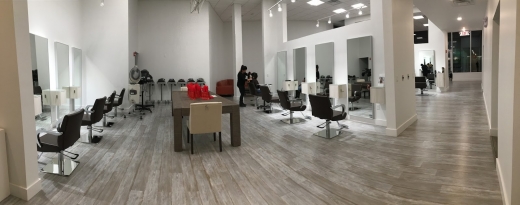 Elite Hair Studio and Spa in Hasbrouck Heights City, New Jersey, United States - #2 Photo of Point of interest, Establishment, Health, Spa, Beauty salon, Hair care