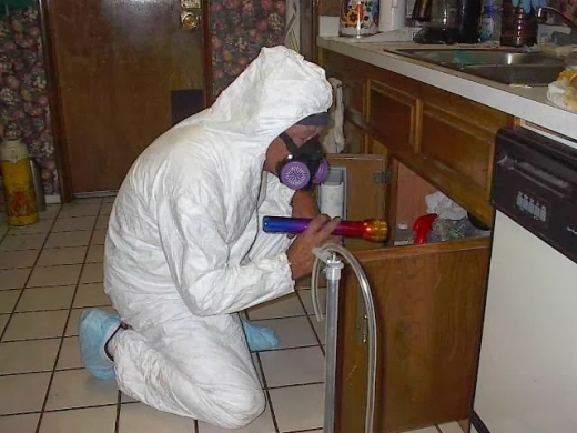 Photo by Enviro-Services Mold Removal-Remediation for Enviro-Services Mold Removal-Remediation