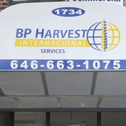 BP Harvest International Services in Bronx City, New York, United States - #1 Photo of Point of interest, Establishment, Finance, Accounting