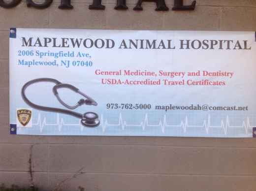 Maplewood Animal Hospital in Maplewood City, New Jersey, United States - #4 Photo of Point of interest, Establishment, Veterinary care