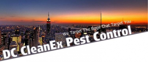Photo by DC CleanEx Pest Control for DC CleanEx Pest Control