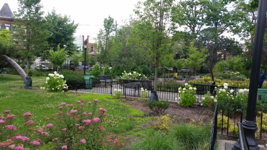 Ellsworth Park in Union City, New Jersey, United States - #1 Photo of Point of interest, Establishment, Park