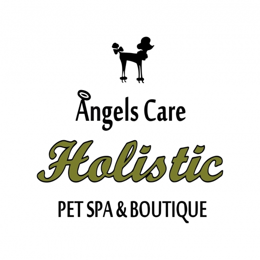 Photo by <br />
<b>Notice</b>:  Undefined index: user in <b>/home/www/activeuser/data/www/vaplace.com/core/views/default/photos.php</b> on line <b>128</b><br />
. Picture for Angels Care Holistic Pet Spa & Boutique in Queens City, New York, United States - Point of interest, Establishment, Store, Pet store