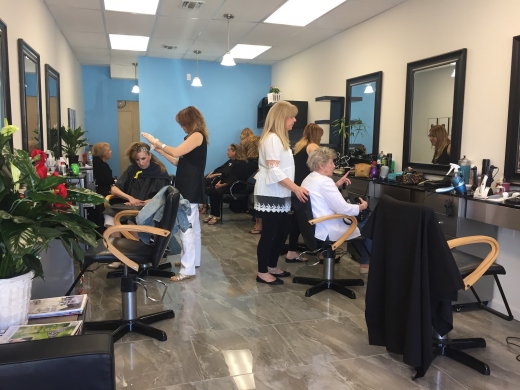 Bella Hair Salon in Oceanside City, New York, United States - #3 Photo of Point of interest, Establishment, Hair care