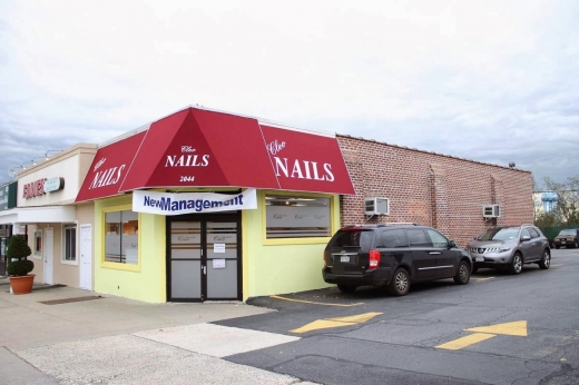 Cleo Nails & Spa in New Hyde Park City, New York, United States - #1 Photo of Point of interest, Establishment, Beauty salon, Hair care