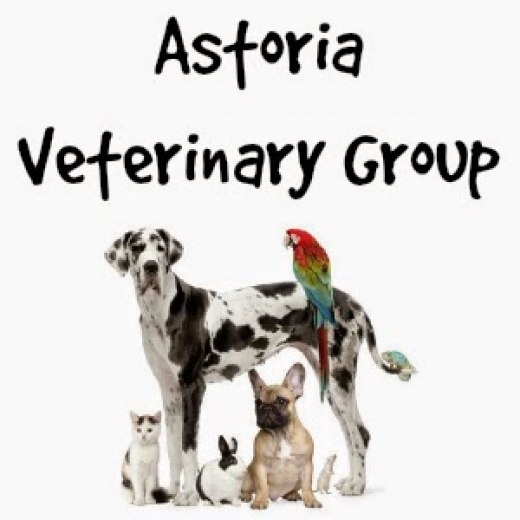 Photo by Astoria Veterinary Group for Astoria Veterinary Group