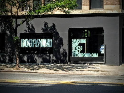 The DOGPOUND in New York City, New York, United States - #2 Photo of Point of interest, Establishment, Health, Gym