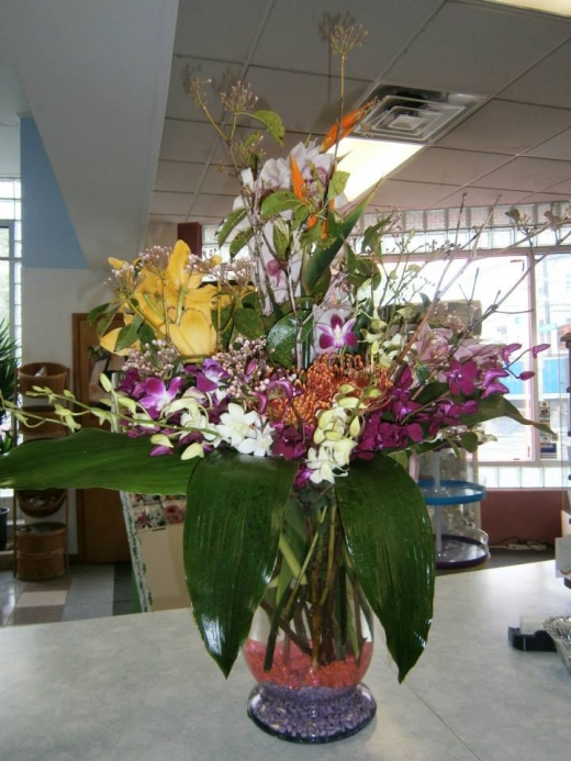 Photo by <br />
<b>Notice</b>:  Undefined index: user in <b>/home/www/activeuser/data/www/vaplace.com/core/views/default/photos.php</b> on line <b>128</b><br />
. Picture for International Florist Gift Shop & Fruit Baskets Inc. in Newark City, New Jersey, United States - Point of interest, Establishment, Store, Florist