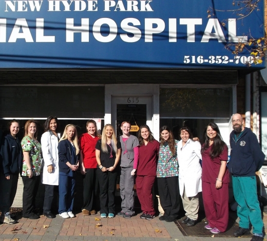 New Hyde Park Animal Hospital in New Hyde Park City, New York, United States - #2 Photo of Point of interest, Establishment, Veterinary care