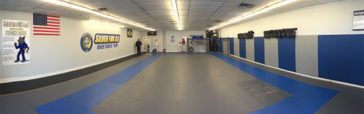 Silver Fox Brazilian Jiu-Jitsu Academy in Saddle Brook City, New Jersey, United States - #4 Photo of Point of interest, Establishment, Health, Gym