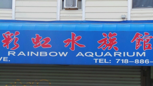 Rainbow Aquarium in Queens City, New York, United States - #3 Photo of Point of interest, Establishment, Store, Pet store