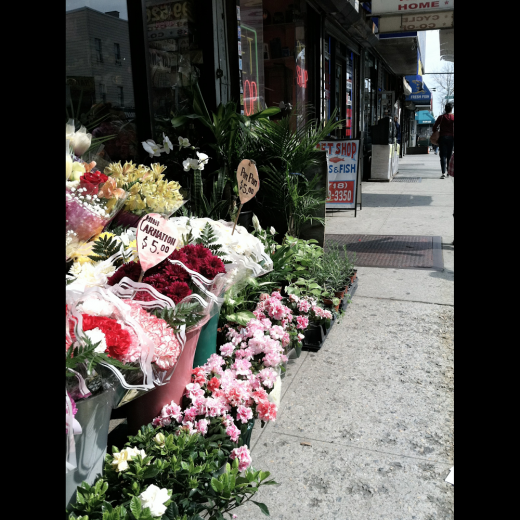 Emmanuel Jewelry and Flowers in Bronx City, New York, United States - #2 Photo of Point of interest, Establishment, Store, Jewelry store, Florist